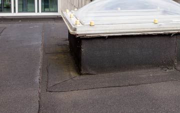 disadvantages of Ty Mawr flat roofs